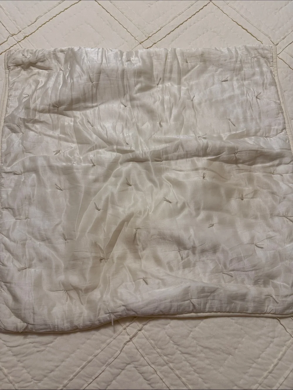 Pottery Barn King Size Ivory Quilt and Euro Sham Set